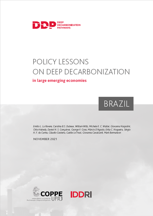 DDPP_PubliCov_CR_BRA