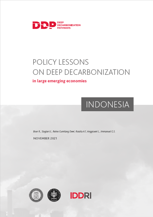 DDPP_PubliCov_CR_IDN