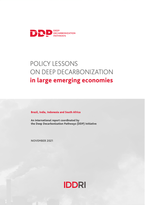 DDPP_PubliCov_CountryReport