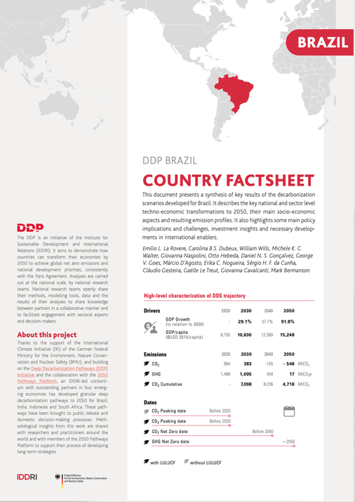 DDPP_PubliCov_FS_BRA