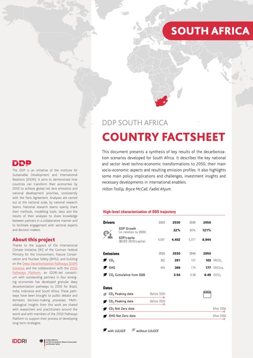 DDPP_PubliCov_FS_ZAF