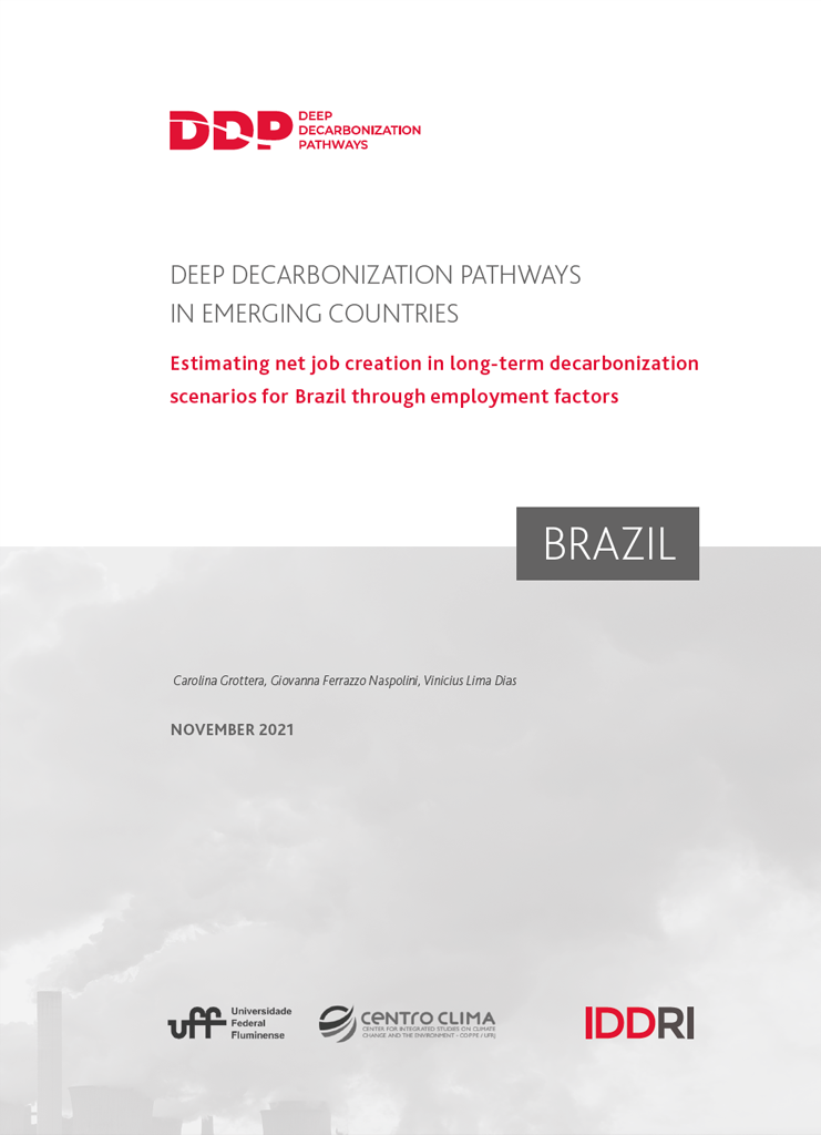 DDP_BIICS_Complement_BRA