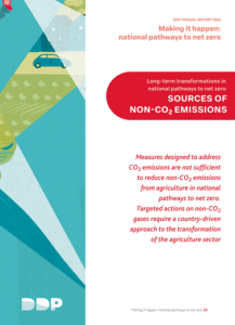 DDP_MakeItHappen-1.4-Non-CO2-Emissions