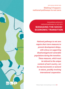DDP_MakeItHappen-2.4-Socio-Economic-Transition