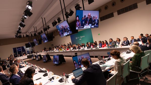 53376175985_5f8170011d_k