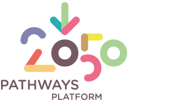2050 Pathways Platform
