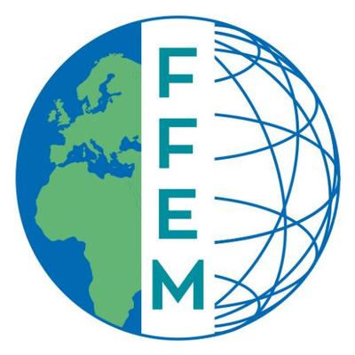 FFEM